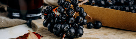 Harnessing the Power of Aronia: Health Benefits, Derivatives, and Liqueurs