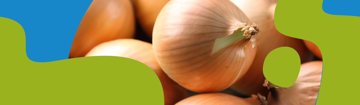 Onion Syrup Recipe for Cough: 2 Easy Methods