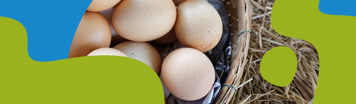 Choline (Vitamin B4): Benefits, Sources & Supplements