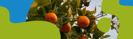 Citrus Bioflavonoids: Benefits, Dosage & Types