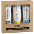 Anwen Set of 3 Conditioners for Low Porosity - 100 ml