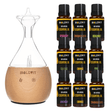 Bilovit Essential Oil Nebuliser Set + 9 Essential Oils