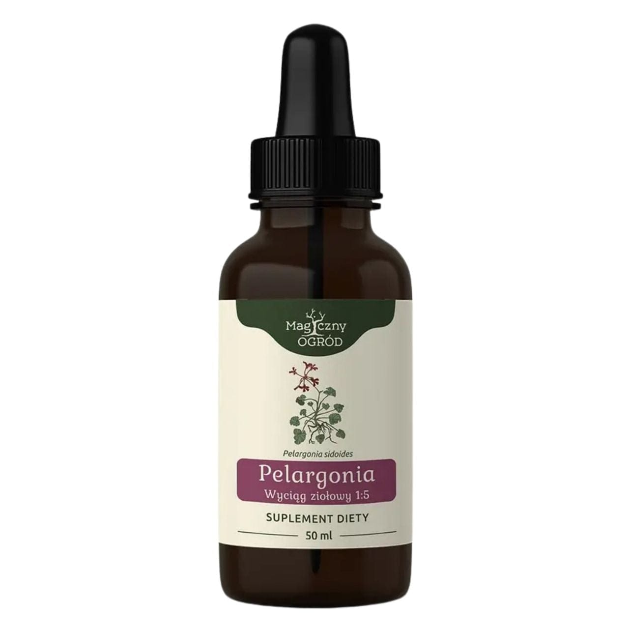 Geranium Extract Powder Nanga African Geranium Herbal Extract 1:1 - 50 ml – Medpak