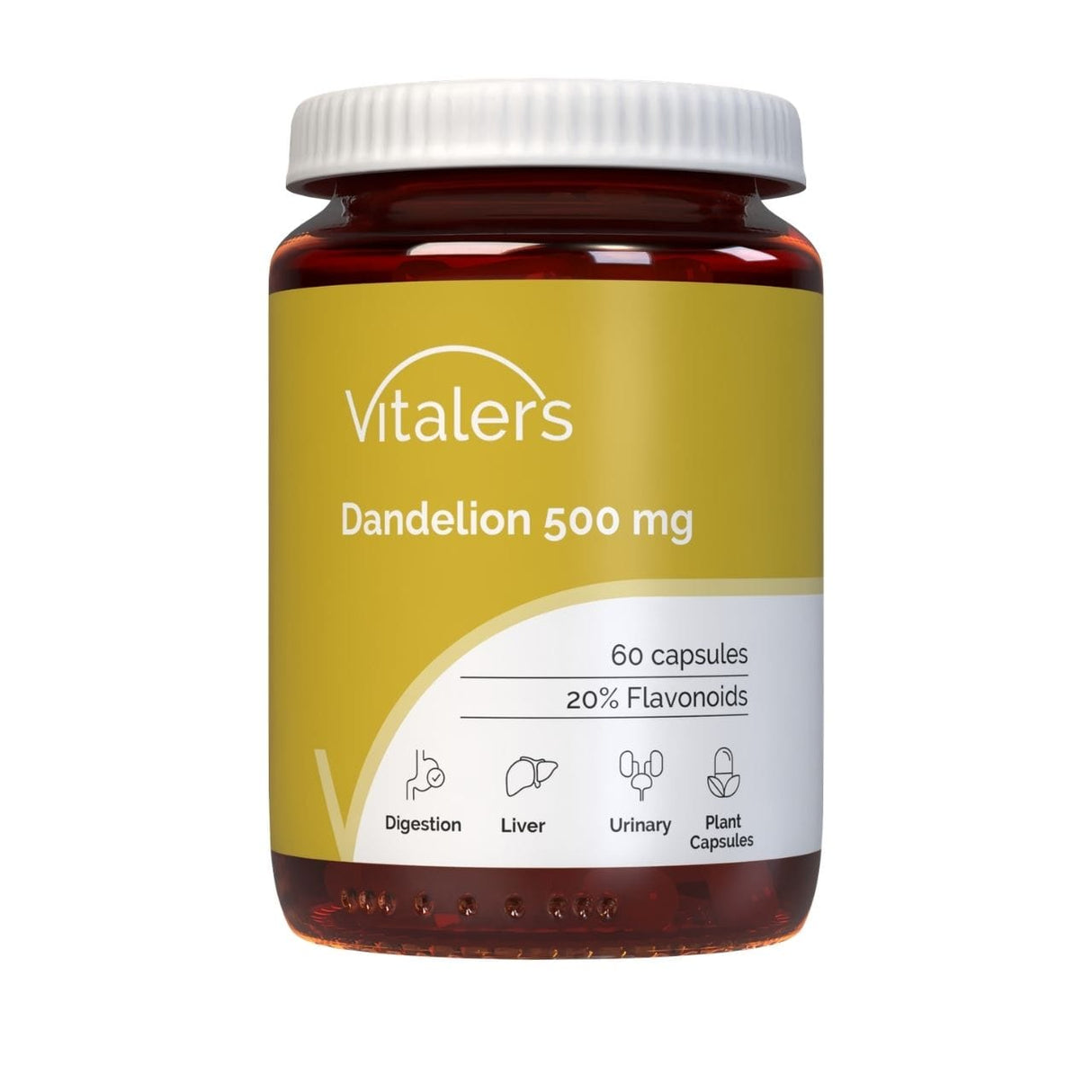 Vitaler's Dandelion Extract 500 mg – 60 Capsules