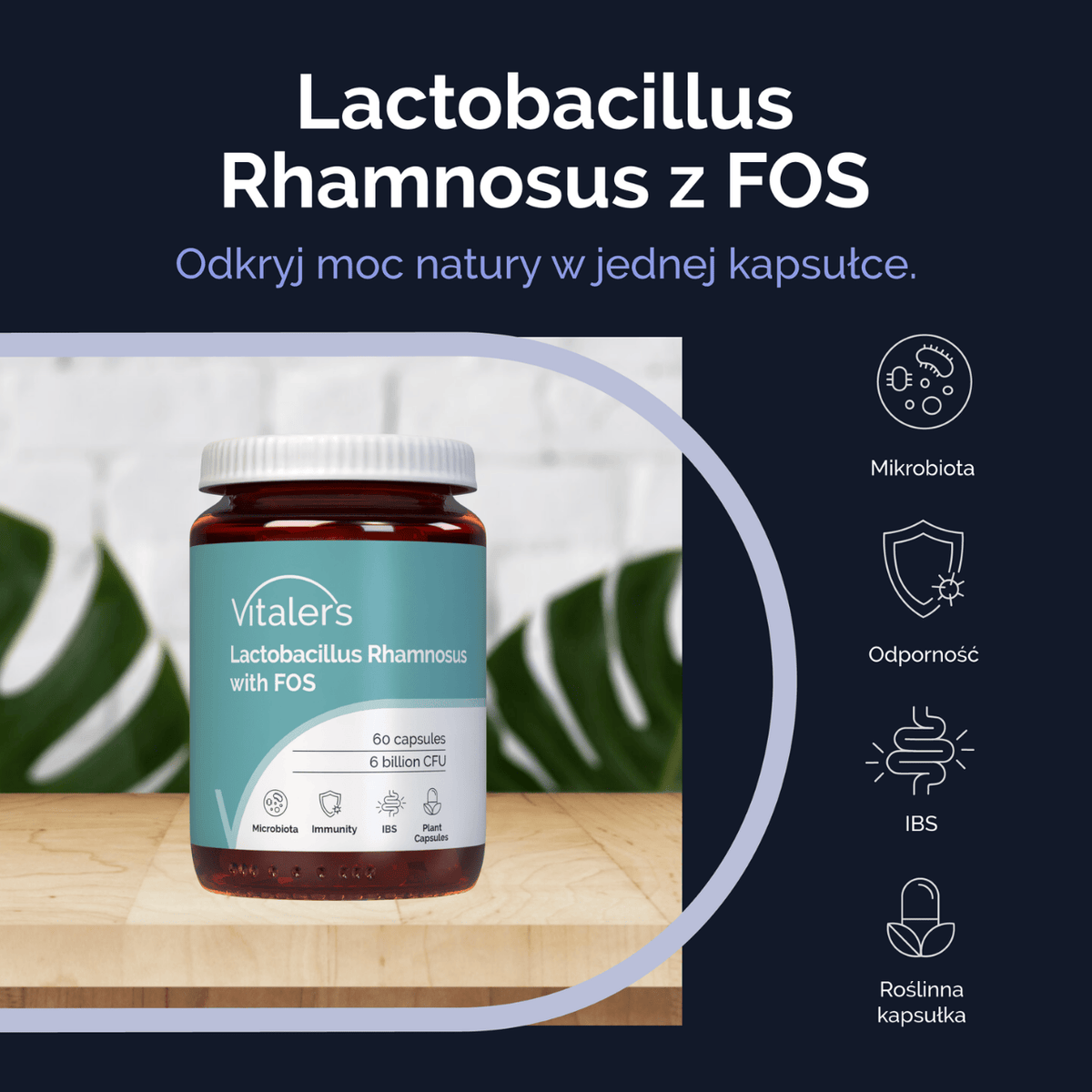 Vitaler's Lactobacillus Rhamnosus with FOS (Probiotic) - 60 Capsules