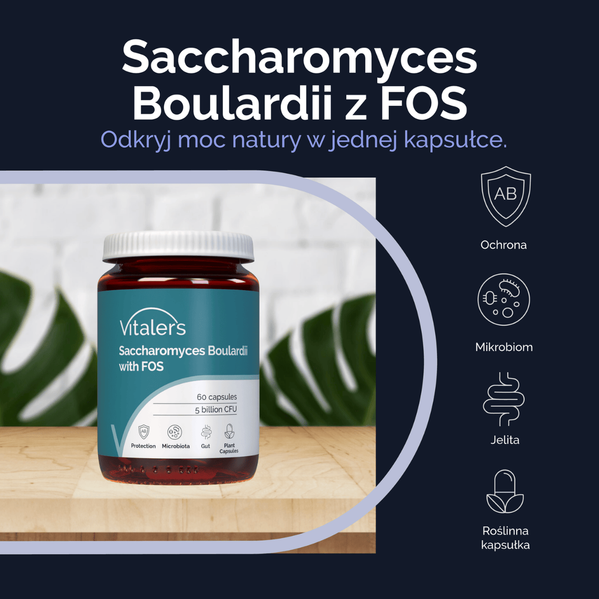 Vitaler's Saccharomyces Boulardii with FOS (Probiotic) - 60 Capsules